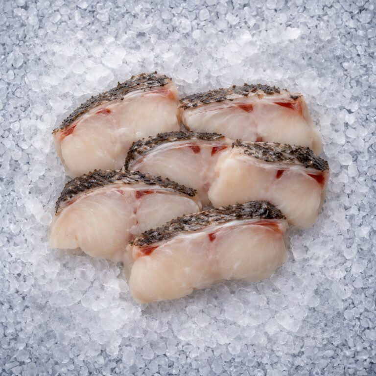 龍膽石斑魚片照片